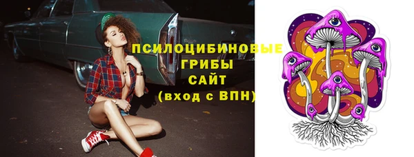 прущие грибы Алексеевка