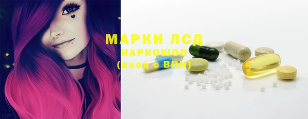 прущие грибы Алексеевка